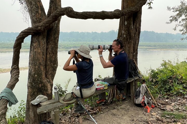 Jungle Towernight Stay: tour di 4 giorni nel Parco nazionale di Chitwan
