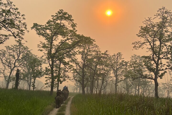 Jungle Towernight Stay: tour di 4 giorni nel Parco nazionale di Chitwan