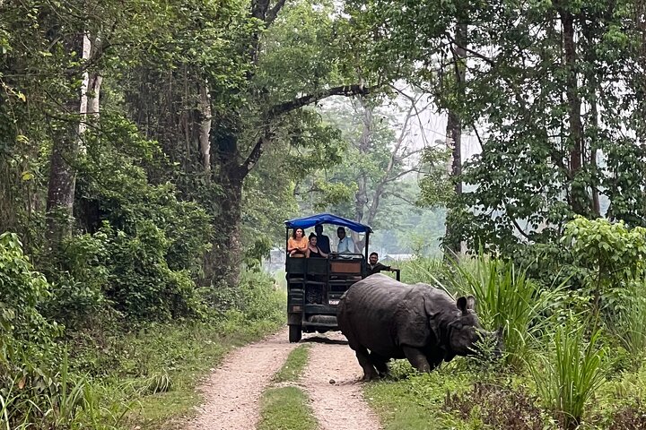 Jungle Towernight Stay: tour di 4 giorni nel Parco nazionale di Chitwan