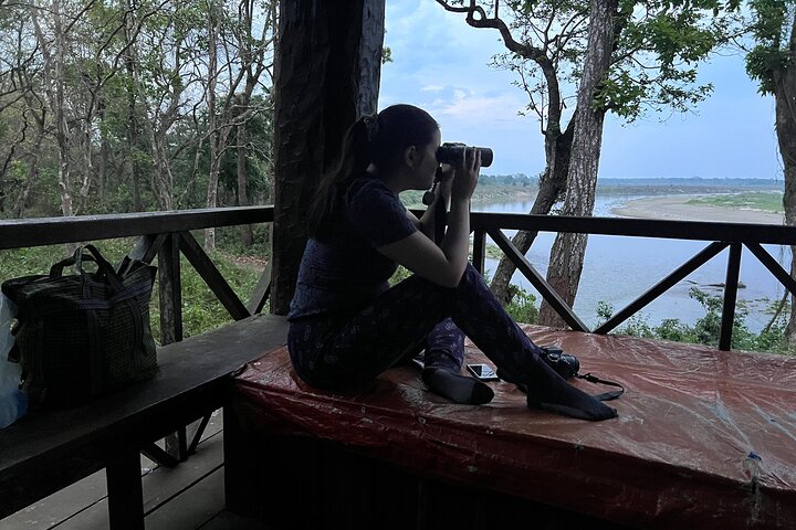 Jungle Towernight Stay: tour di 4 giorni nel Parco nazionale di Chitwan