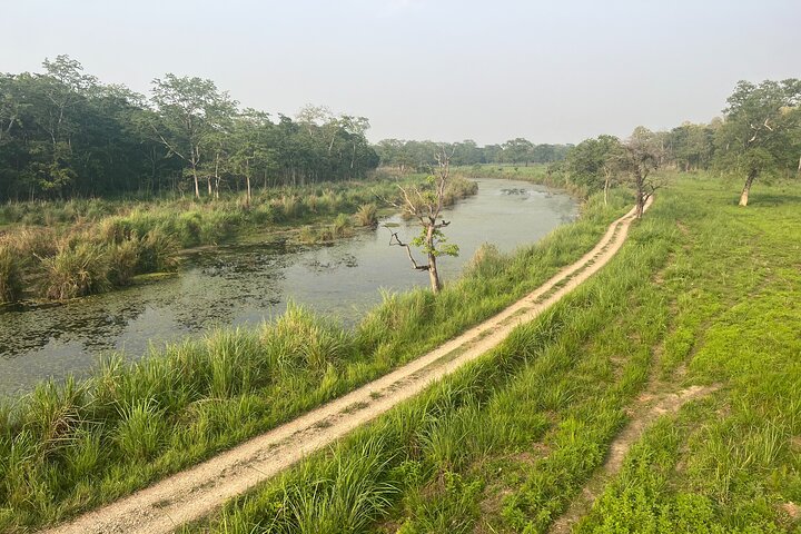 Jungle Towernight Stay: tour di 4 giorni nel Parco nazionale di Chitwan