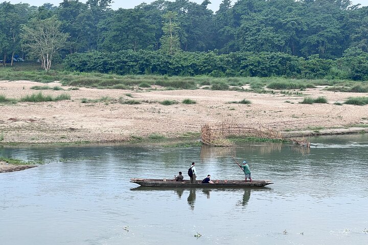 Jungle Towernight Stay: tour di 4 giorni nel Parco nazionale di Chitwan