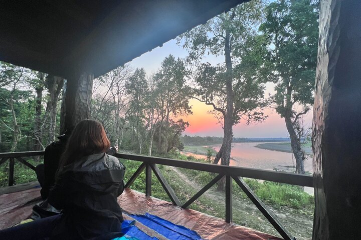 Jungle Towernight Stay: tour di 4 giorni nel Parco nazionale di Chitwan