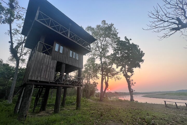Jungle Towernight Stay: tour di 4 giorni nel Parco nazionale di Chitwan