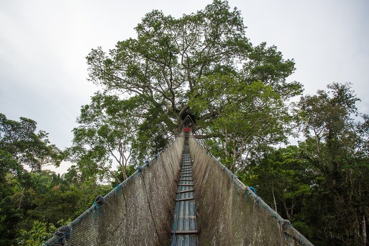 Tambopata. Lago Sandoval y collpa de loros, 3 días 2 noches