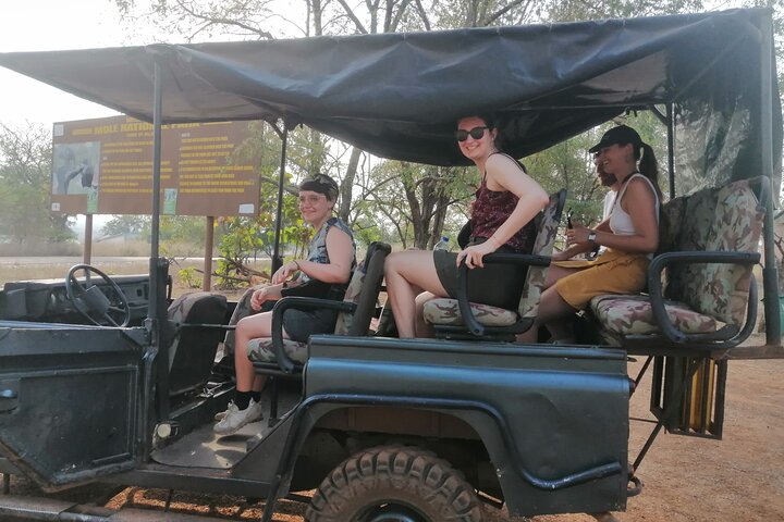 3 Dias Zaina Elephants Safari - Experiência de Lodge Eco de luxo