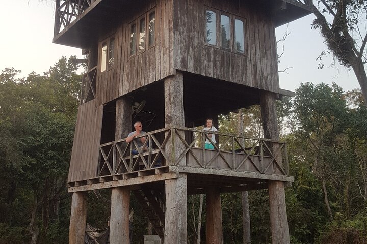 Jungle Towernight Stay: tour di 4 giorni nel Parco nazionale di Chitwan