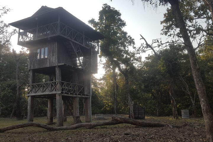 Jungle Towernight Stay: tour di 4 giorni nel Parco nazionale di Chitwan