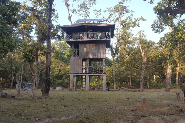 Jungle Towernight Stay: tour di 4 giorni nel Parco nazionale di Chitwan