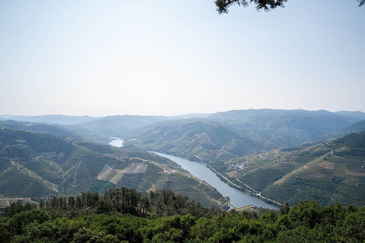 Douro Valley Small Group Tour fra Porto: Vinværker Lunch & Cruise