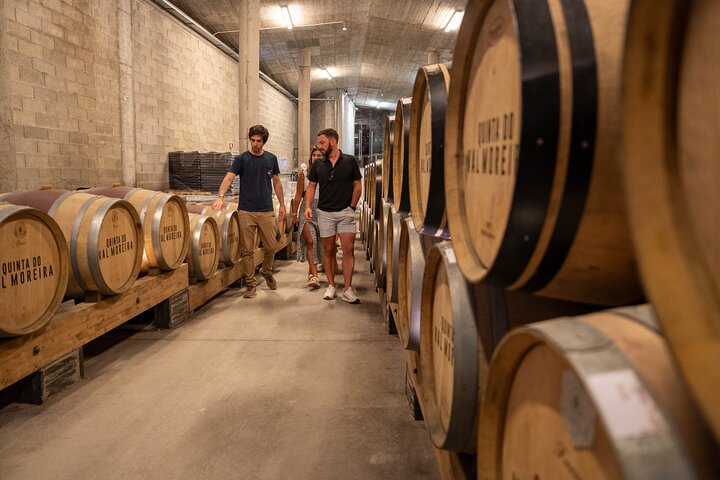 Douro Valley Small Group Tour fra Porto: Vinværker Lunch & Cruise
