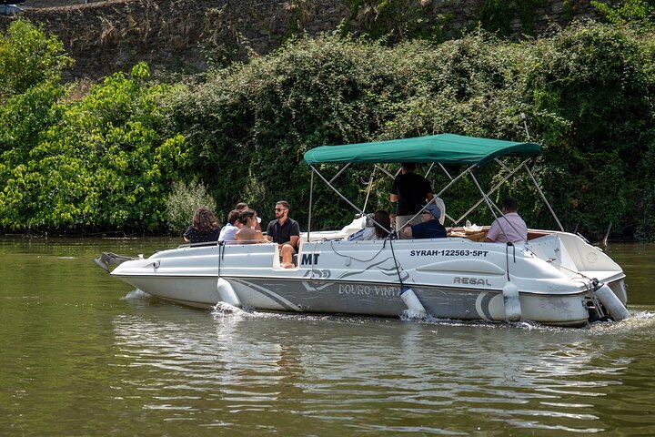 Douro Valley Small Group Tour fra Porto: Vinværker Lunch & Cruise