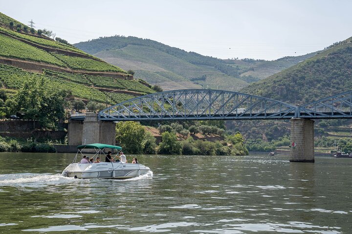 Douro Valley Small Group Tour fra Porto: Vinværker Lunch & Cruise