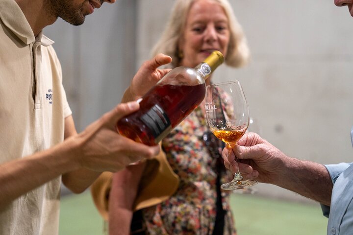 Douro Valley Small Group Tour fra Porto: Vinværker Lunch & Cruise