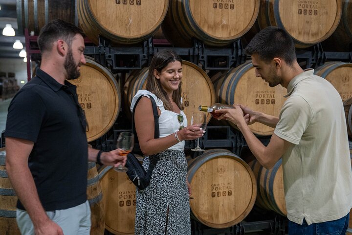 Douro Valley Small Group Tour fra Porto: Vinværker Lunch & Cruise