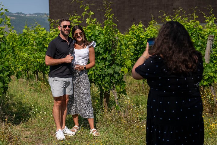 Douro Valley Small Group Tour fra Porto: Vinværker Lunch & Cruise