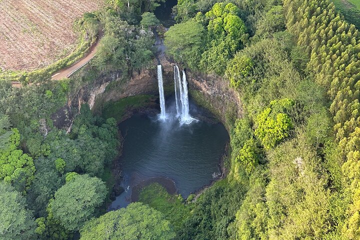 Experiencia en helicóptero privado en Kauaʻi : puerta abierta TODOS LOS ASIENTOS DE LA VENTANA