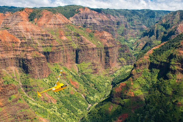 Experiencia en helicóptero privado en Kauaʻi : puerta abierta TODOS LOS ASIENTOS DE LA VENTANA