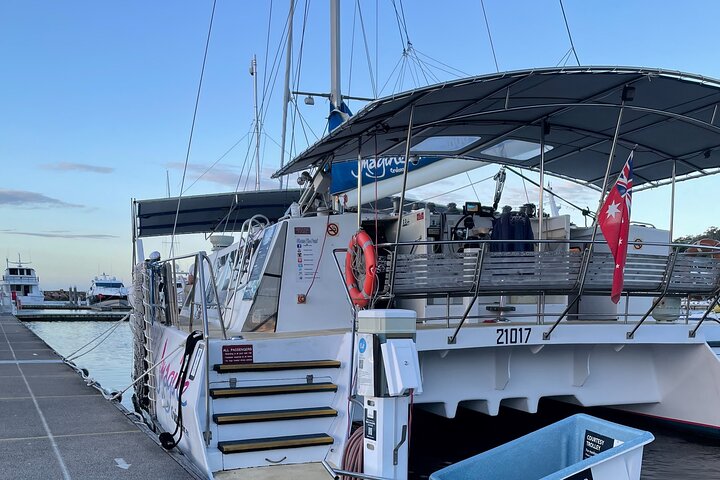 3-stündige Wal- und Delfinbeobachtungskreuzfahrt in Port Stephens