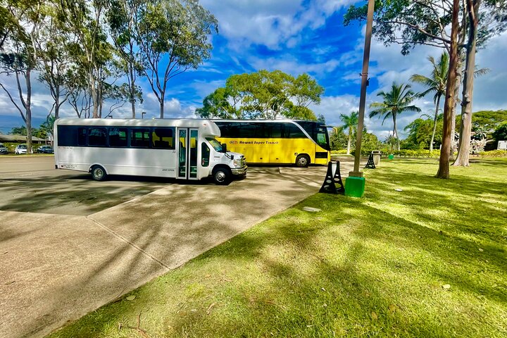 Oahu : Hin- und Rücktransfer von Waikiki nach Dole Plantage & Haleiwa