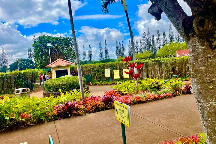 Oahu : Hin- und Rücktransfer von Waikiki nach Dole Plantage & Haleiwa