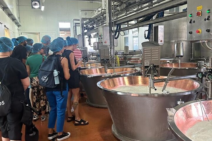 Day Tour Parmigiano, Museu da Ferrari, Balsâmico, Lambrusco, Almoço com Traslado