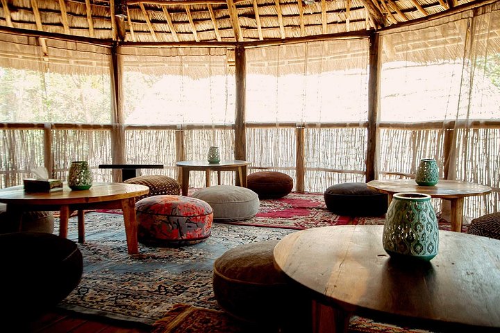 2-dagers privat luksussafari: Tarangire og Ngorongoro Tanzania