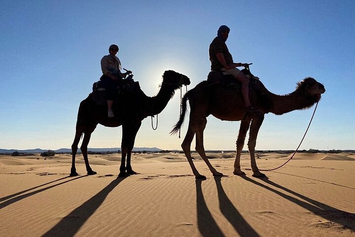 Noche en el desierto de Erg Chebbi, paseo en camello, salida desde Errachidia