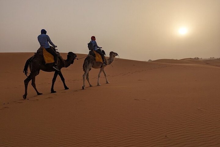 Noche en el desierto de Erg Chebbi, paseo en camello, salida desde Errachidia