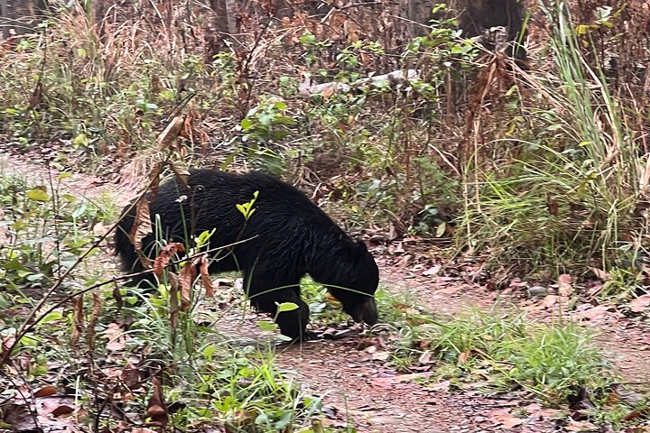 Visita guiada a pie de 5 días y 4 noches en el Parque Nacional de Chitwan