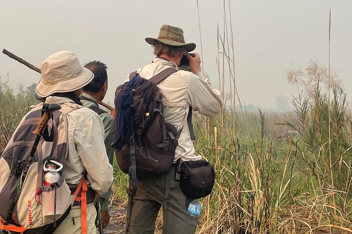 Visita guiada a pie de 5 días y 4 noches en el Parque Nacional de Chitwan