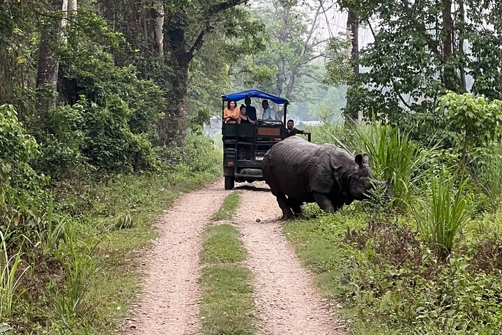 Visita guiada a pie de 5 días y 4 noches en el Parque Nacional de Chitwan