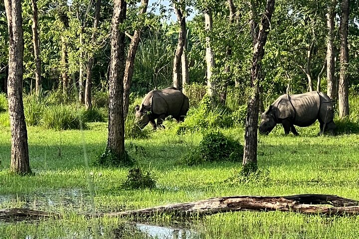 Visita guiada a pie de 5 días y 4 noches en el Parque Nacional de Chitwan