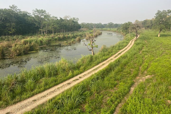 Visita guiada a pie de 5 días y 4 noches en el Parque Nacional de Chitwan