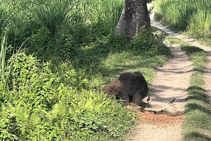 Visita guiada a pie de 5 días y 4 noches en el Parque Nacional de Chitwan