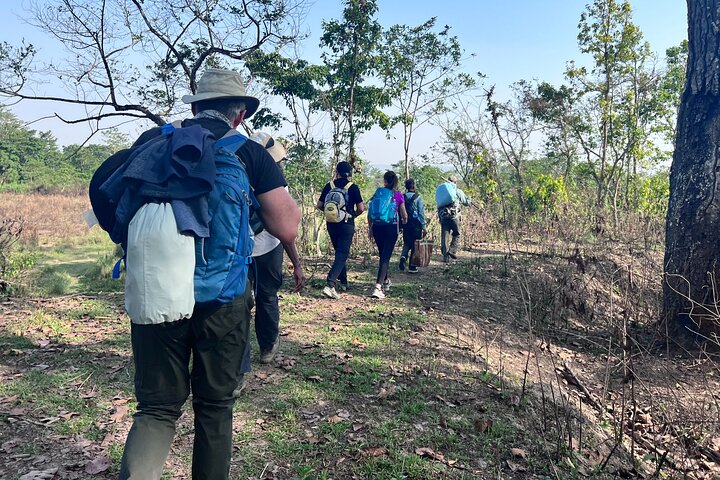 Visita guiada a pie de 5 días y 4 noches en el Parque Nacional de Chitwan