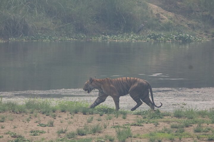 Visita guiada a pie de 5 días y 4 noches en el Parque Nacional de Chitwan