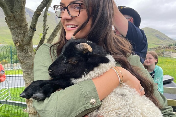 Kleine Gruppe Kylemore Abbey, Sheepdog Demo & Connemara Tour