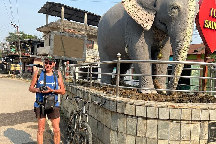 Excursão de bicicleta de meio dia pelo Parque Nacional de Chitwan e aldeias locais