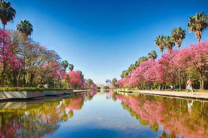 Porto Alegre: tour privato della città alla scoperta dei suoi punti salienti.