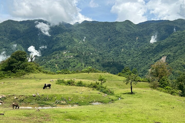 Dumaguete Tours in Inglese | Tour privati e flessibili di un'intera giornata