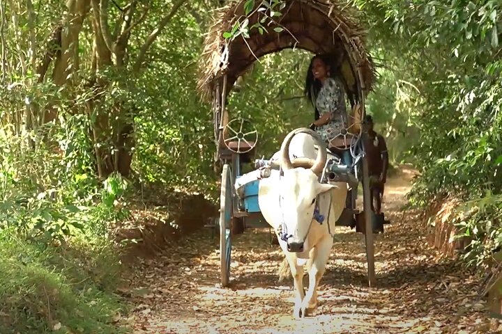 Excursion privée d'une journée à Sigiriya et Dambulla en Tuk-Tuk ou en voiture