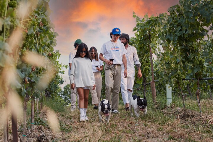 Visita ao vinho e degustação de vinhos de Lugana perto de Sirmione