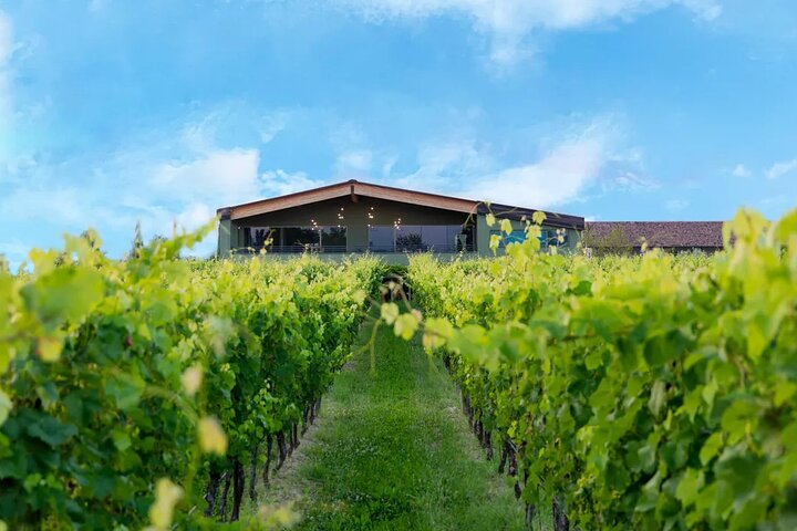 Visita ao vinho e degustação de vinhos de Lugana perto de Sirmione