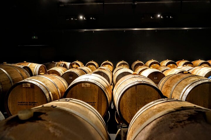 Visita ao vinho e degustação de vinhos de Lugana perto de Sirmione