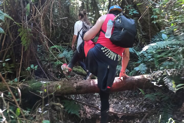 Vulcano Bandung Tour, Terme, Fango, Tè, Pranzo tutto incluso