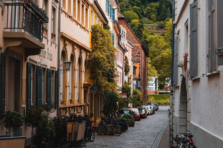 Heidelberg Slot og bydagstur fra Frankfurt