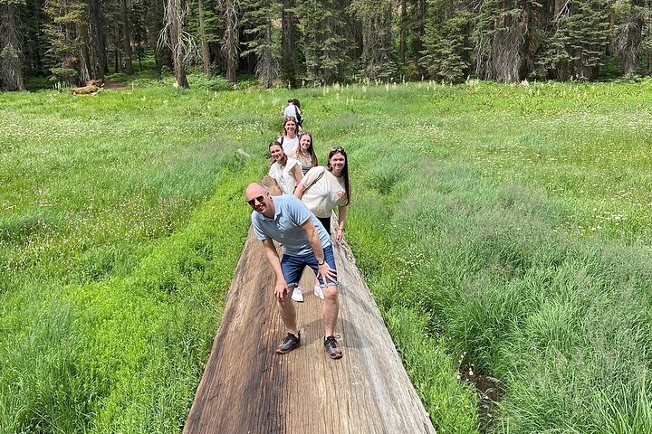 Sequoia nationalpark Liten grupptur från tre floder