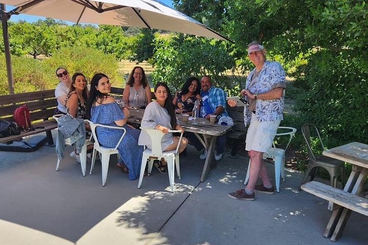 Excursão vinícola com tudo incluído para grupos pequenos em Solvang Santa Ynez Valley