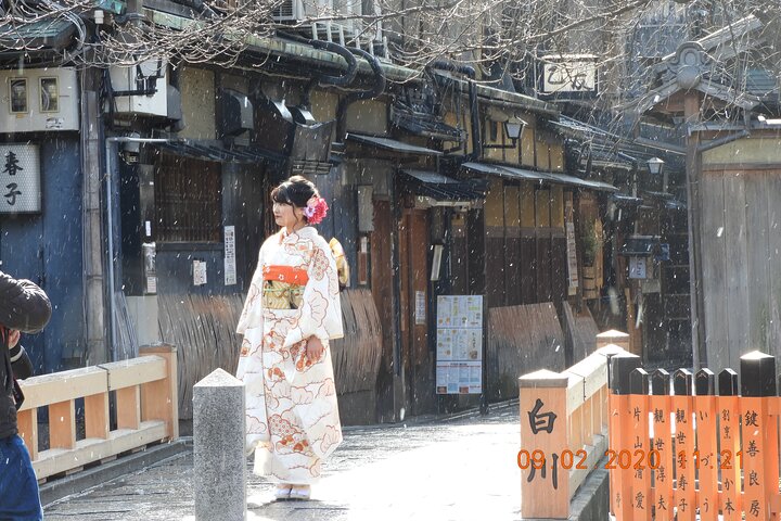 Strandutflykt: Privat heldagstur i Kyoto från hamnarna i Osaka/Kobe